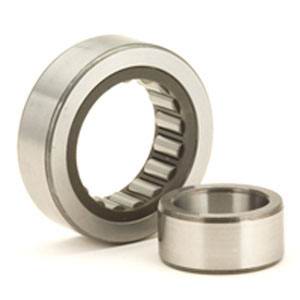 NU303 Cylindrical Roller Bearings 17x47x14